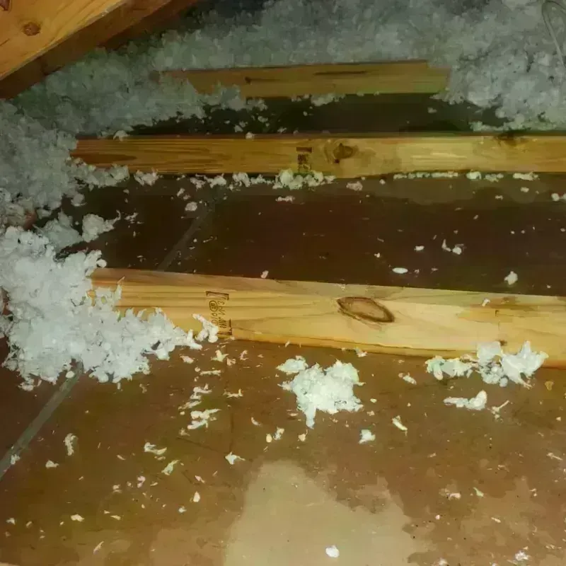 Attic Water Damage in Dallam County, TX